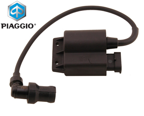 Centraline OEM Kokusan Onbegrensd | Piaggio 4T 2V